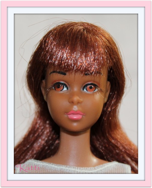 Colored best sale francie doll